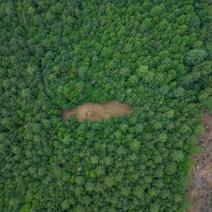Photo #6 of Lots 1 & 2 CONSTITUTION RTE, SCOTTSVILLE, VA 40.1 acres