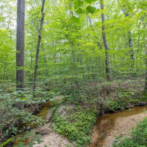 Photo #19 of Lots 1 & 2 CONSTITUTION RTE, SCOTTSVILLE, VA 40.1 acres