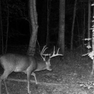Photo #21 of Lots 1 & 2 CONSTITUTION RTE, SCOTTSVILLE, VA 40.1 acres