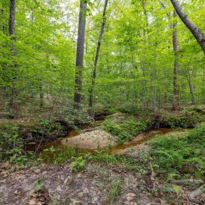 Photo #17 of Lots 1 & 2 CONSTITUTION RTE, SCOTTSVILLE, VA 40.1 acres