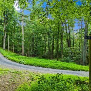 Photo #16 of Lots G37 & G3 LAKE RD, STANLEY, VA 1.8 acres