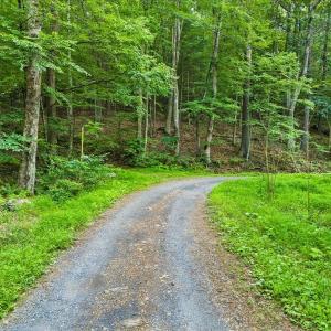 Photo #14 of Lots G37 & G3 LAKE RD, STANLEY, VA 1.8 acres
