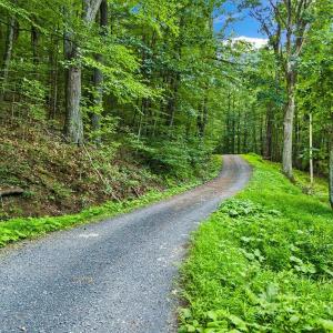 Photo #15 of Lots G37 & G3 LAKE RD, STANLEY, VA 1.8 acres