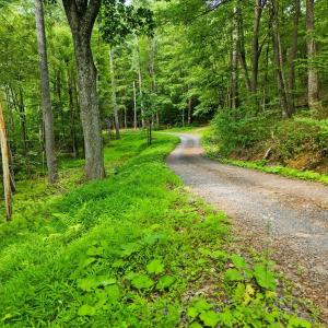 Photo #11 of Lots G37 & G3 LAKE RD, STANLEY, VA 1.8 acres