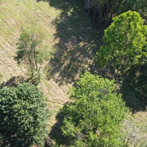 Photo #14 of HARPER VALLEY RD, LURAY, VA 8.2 acres