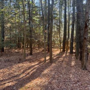 Photo #2 of Lot 831 CASTAWAY DR, GREENBACKVILLE, VA 9.0 acres