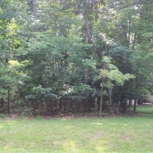 Photo #2 of 1856 CAPTAINS CORRIDOR, GREENBACKVILLE, VA 64.0 acres
