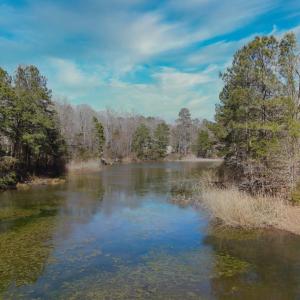 Photo #5 of 1856 CAPTAINS CORRIDOR, GREENBACKVILLE, VA 64.0 acres