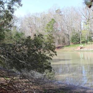 Photo #6 of 1856 CAPTAINS CORRIDOR, GREENBACKVILLE, VA 64.0 acres