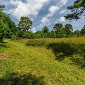 Photo #17 of MUDDY RUN RD, WILLIAMSVILLE, VA 40.8 acres