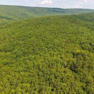 Photo #7 of MUDDY RUN RD, WILLIAMSVILLE, VA 40.8 acres
