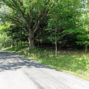 Photo #16 of MUDDY RUN RD, WILLIAMSVILLE, VA 40.8 acres
