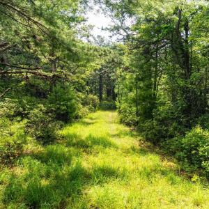 Photo #22 of MUDDY RUN RD, WILLIAMSVILLE, VA 40.8 acres