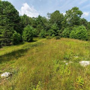 Photo #19 of MUDDY RUN RD, WILLIAMSVILLE, VA 40.8 acres