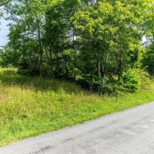 Photo #15 of MUDDY RUN RD, WILLIAMSVILLE, VA 40.8 acres