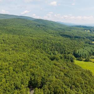 Photo #5 of MUDDY RUN RD, WILLIAMSVILLE, VA 40.8 acres