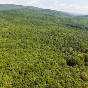 Photo #6 of MUDDY RUN RD, WILLIAMSVILLE, VA 40.8 acres