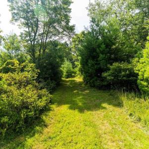 Photo #28 of MUDDY RUN RD, WILLIAMSVILLE, VA 40.8 acres