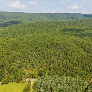 Photo #1 of MUDDY RUN RD, WILLIAMSVILLE, VA 40.8 acres