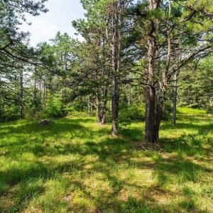 Photo #25 of MUDDY RUN RD, WILLIAMSVILLE, VA 40.8 acres