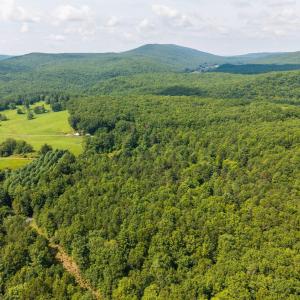Photo #10 of MUDDY RUN RD, WILLIAMSVILLE, VA 40.8 acres
