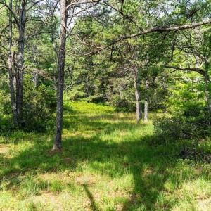Photo #24 of MUDDY RUN RD, WILLIAMSVILLE, VA 40.8 acres