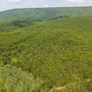Photo #2 of MUDDY RUN RD, WILLIAMSVILLE, VA 40.8 acres