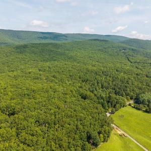 Photo #4 of MUDDY RUN RD, WILLIAMSVILLE, VA 40.8 acres