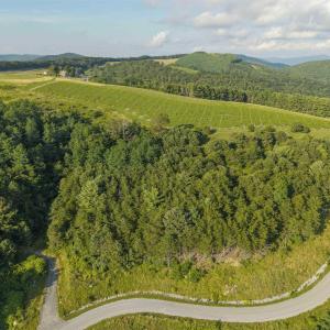 Photo #7 of Lot 3 TWELVE RIDGES WAY, VESUVIUS, VA 4.0 acres