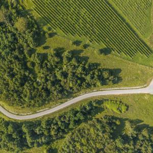 Photo #9 of Lot 3 TWELVE RIDGES WAY, VESUVIUS, VA 4.0 acres