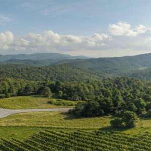 Photo #3 of Lot 3 TWELVE RIDGES WAY, VESUVIUS, VA 4.0 acres