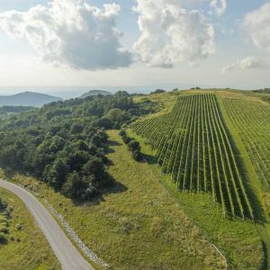 Photo #6 of Lot 3 TWELVE RIDGES WAY, VESUVIUS, VA 4.0 acres