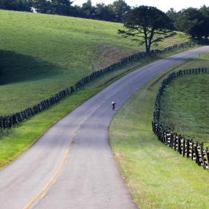 Photo #9 of Lot 7 TWELVE RIDGES WAY, VESUVIUS, VA 4.1 acres