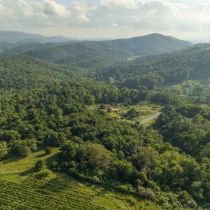 Photo #1 of Lot 7 TWELVE RIDGES WAY, VESUVIUS, VA 4.1 acres