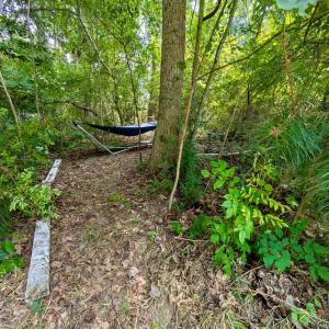 Photo #11 of Lot 175 BLACK OAK CT, HORNTOWN, VA 0.1 acres