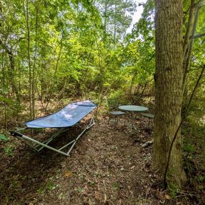 Photo #13 of Lot 175 BLACK OAK CT, HORNTOWN, VA 0.1 acres