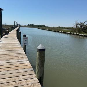 Photo #48 of Lot 175 BLACK OAK CT, HORNTOWN, VA 0.1 acres