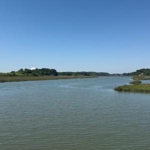 Photo #50 of Lot 175 BLACK OAK CT, HORNTOWN, VA 0.1 acres