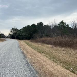 Photo #2 of Lot 50 BUTLER'S BLUFF DR, CAPE CHARLES, VA 2.0 acres