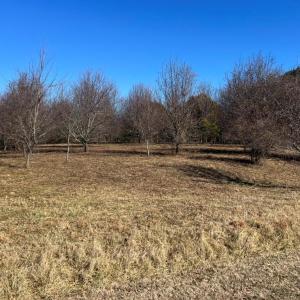 Photo #2 of Lot 50 BUTLER'S BLUFF DR, CAPE CHARLES, VA 2.0 acres