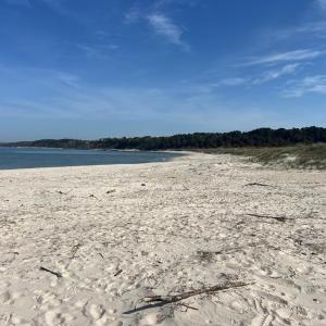 Photo #14 of Lot 50 BUTLER'S BLUFF DR, CAPE CHARLES, VA 2.0 acres