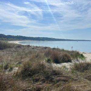 Photo #15 of Lot 50 BUTLER'S BLUFF DR, CAPE CHARLES, VA 2.0 acres