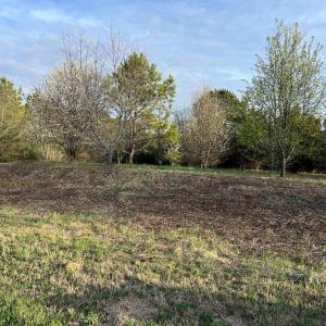 Photo #4 of Lot 50 BUTLER'S BLUFF DR, CAPE CHARLES, VA 2.0 acres