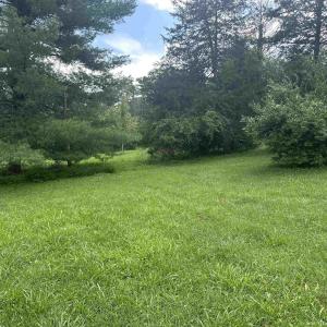 Photo #11 of 16843 RUNIONS CREEK RD, BROADWAY, VA 2.0 acres