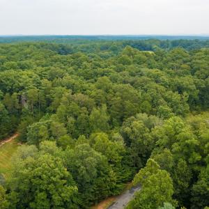 Photo #9 of Lot T8 LONDON CT, RUCKERSVILLE, VA 2.2 acres