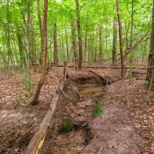 Photo #3 of Lot T8 LONDON CT, RUCKERSVILLE, VA 2.2 acres