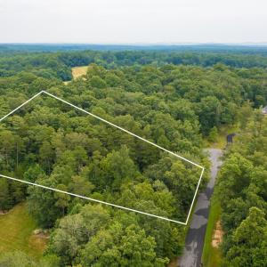 Photo #1 of Lot T8 LONDON CT, RUCKERSVILLE, VA 2.2 acres