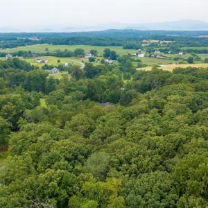 Photo #10 of Lot T8 LONDON CT, RUCKERSVILLE, VA 2.2 acres