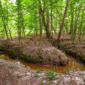 Photo #6 of Lot T8 LONDON CT, RUCKERSVILLE, VA 2.2 acres