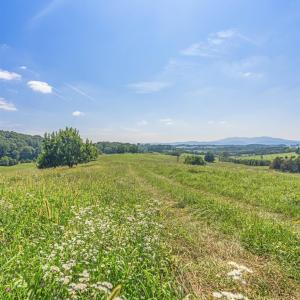 Photo #9 of 35-14F GALENA RD, STAUNTON, VA 48.0 acres
